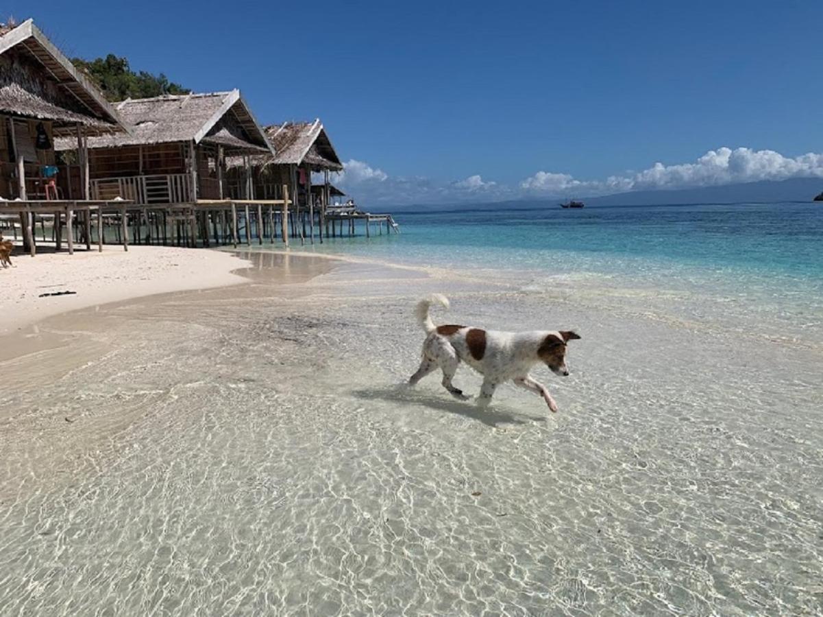 Nus Homestay Raja Ampat Kri Экстерьер фото